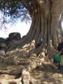 Baobab, Etiopia.